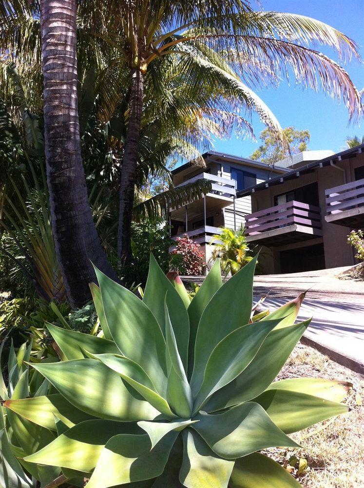 Unit 1 Sunbird On Lamond Villa Airlie Beach Eksteriør billede